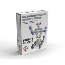 Конструктор металлический с подвижными деталями "Робот Р2" арт.02213