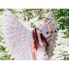 Палитра. Холст с краск. 30х40 см по номер. в плёнке ( цв.) Белокрылый ангел у дерева (Арт. Х-2294)