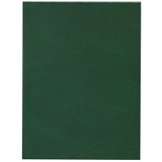 Ежедневник А6, 96л. ЗЕЛЕНЫЙ (96БВ-3000) бумвинил, недатир.